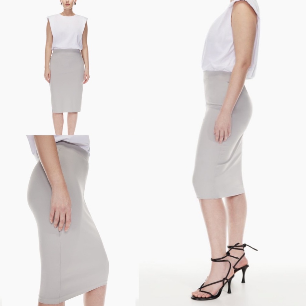 ARITZIA SKIRT